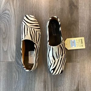 Men Toms Zebra Print Shoe